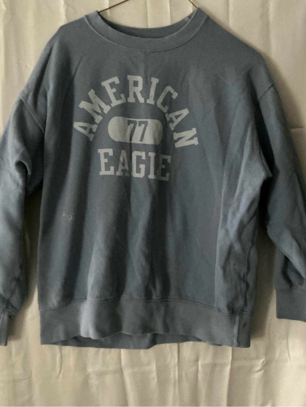 American Eagle Outfitters Light Blue Graphic Crewneck Sweatshirt